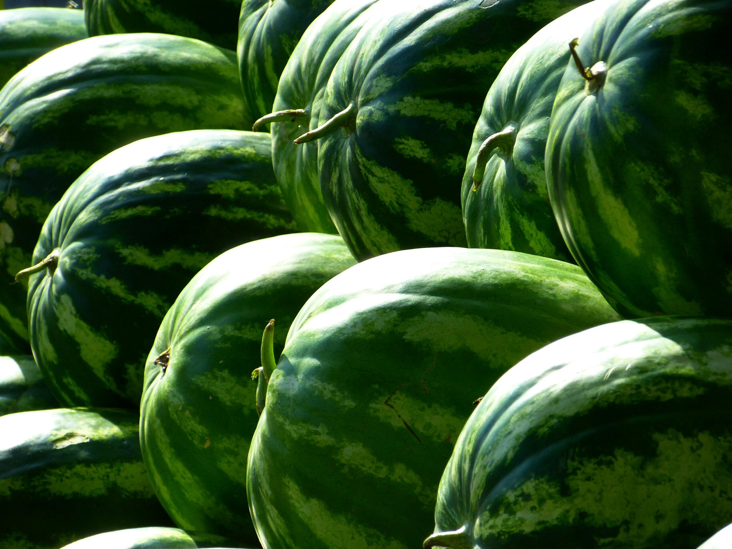 A vibrant display of green watermelons stacked outdoors under the bright sun.